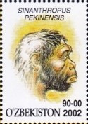 francobollo H. erectus