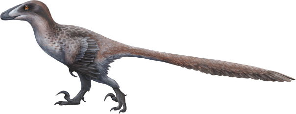 Sinornithosaurus