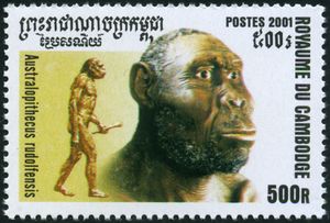 francobollo H. rudolfensis
