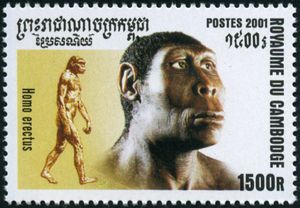 francobollo H. erectus