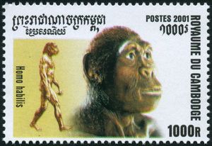 francobollo H. habilis