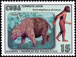 francobollo A. africanus