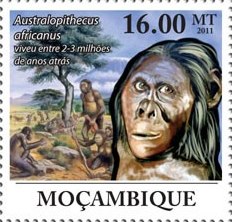 francobollo A. africanus
