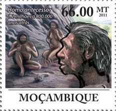 francobollo H. antecessor