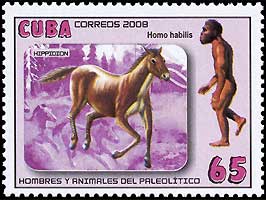 francobollo H. habilis