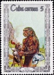 francobollo H. neanderthalensis