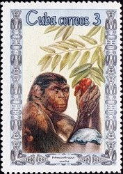 francobollo H. erectus