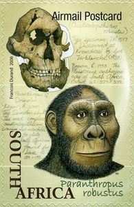 francobollo di P. robustus