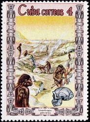francobollo H. erectus