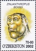 francobollo P. boisei