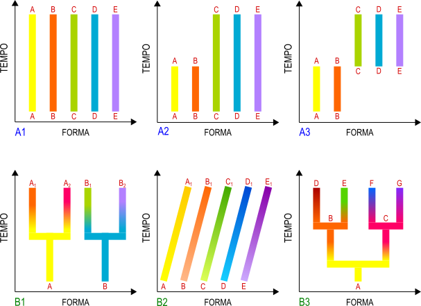creazione e trasformazione