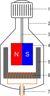 dinamo