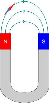 linee di forza