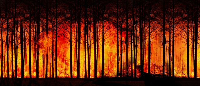 incendio boschivo