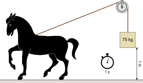 cavallo che solleva un peso di 75 kg