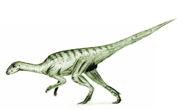 Agilosaurus
