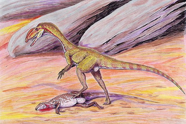 Syntarsus