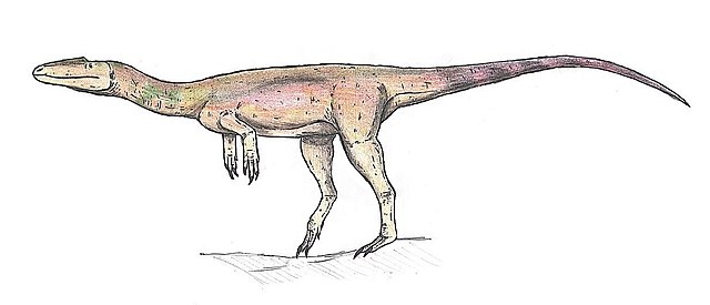 Sarcosaurus