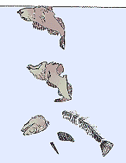 alterazioni