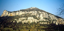 Colli Berici