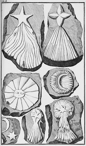 tavola di Beringer