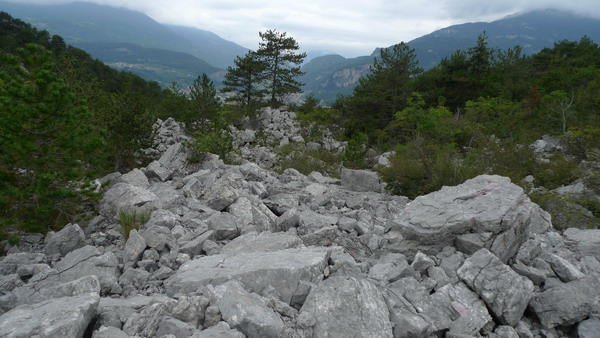 blocchi