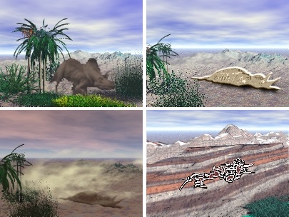 Fasi di fossilizzazione