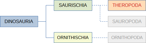 classificazione dei Teropodi