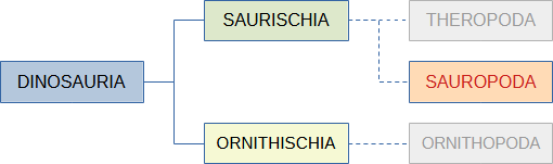 classificazione dei Sauropodi