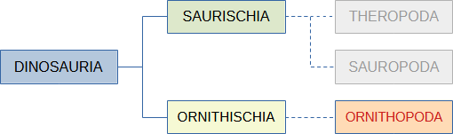 classificazione degli ornitopodi