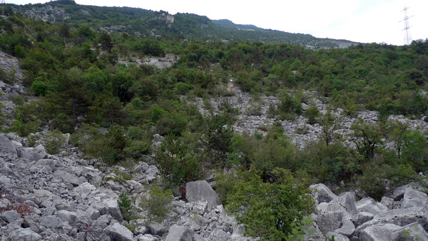 macereto