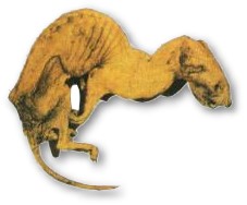 animale mummificato