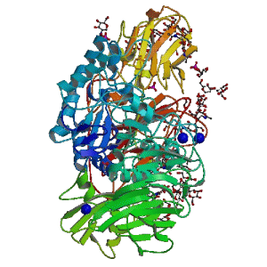 beta-galactosidase