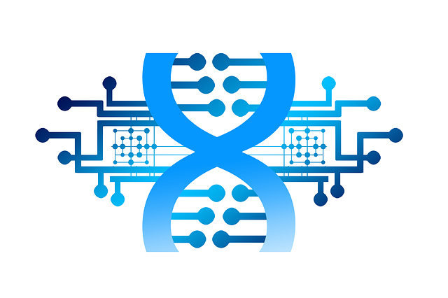 DNA e circuito