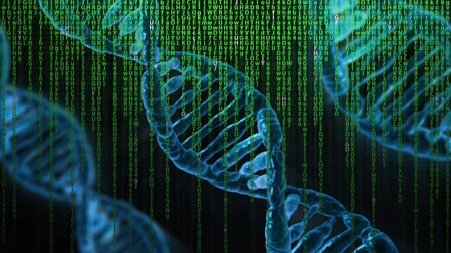 datie DNA