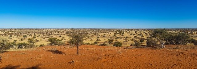 deserto