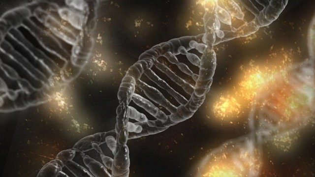 molecola di DNA
