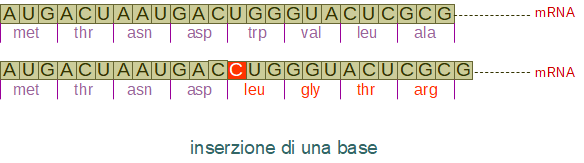 inserzione
