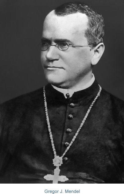 Mendel