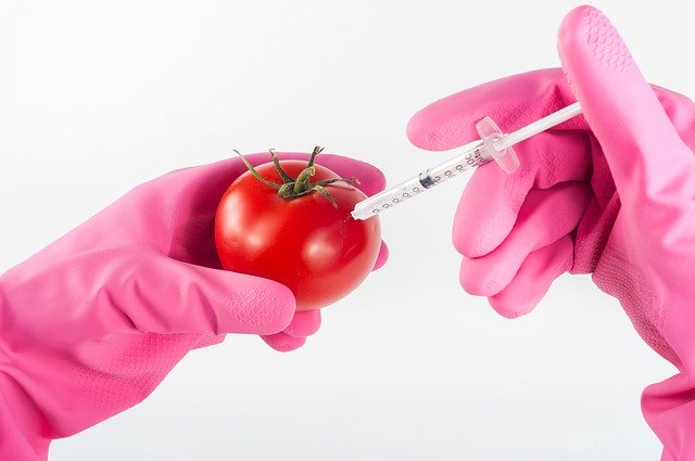 pomodoro modificato