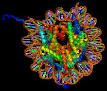 nucleosoma