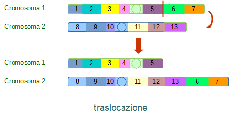 traslocazione