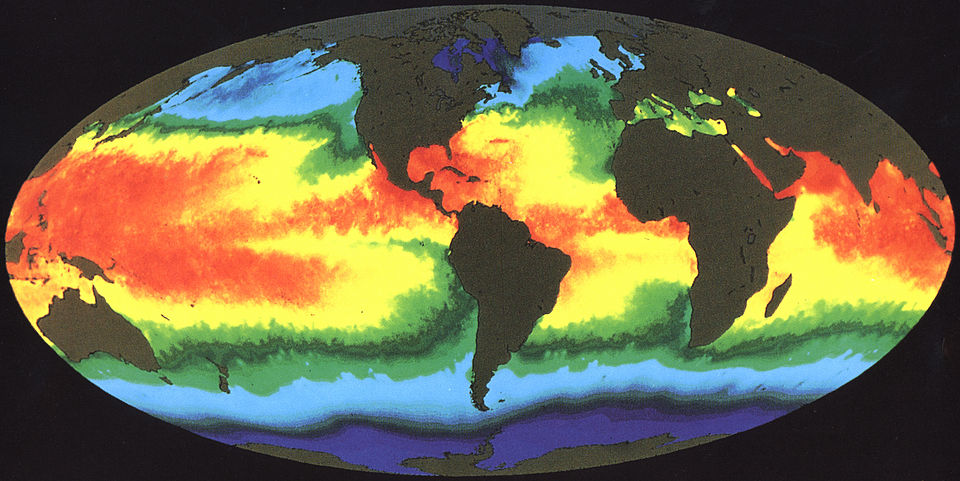 distribuzione delle temperaure sulla superficie marina
