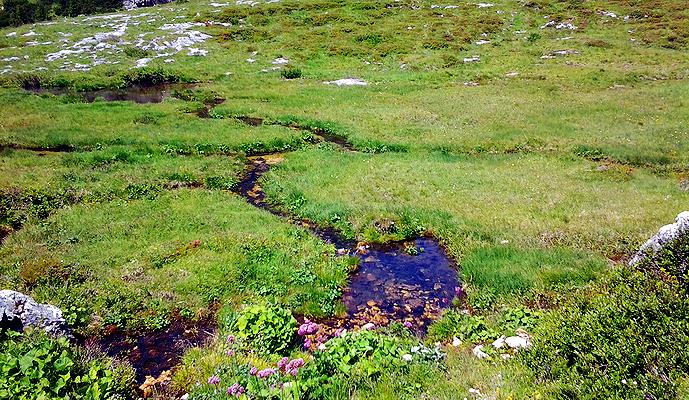 acque di ruscellamento