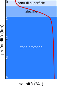 relazione tra salinità e profondità