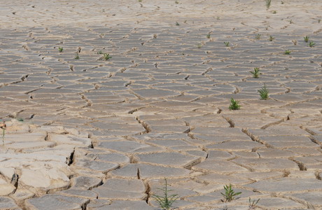 terreno argilloso