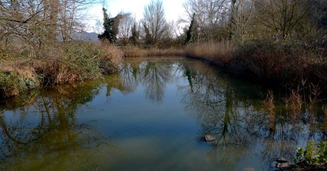 Stagno di Corte Borin