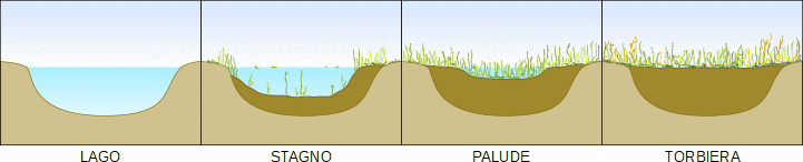 evoluzione di un lago