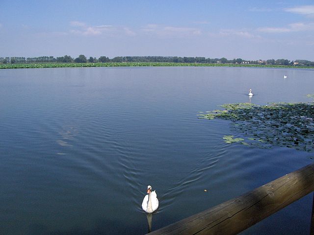 Lago superiore di Mantova