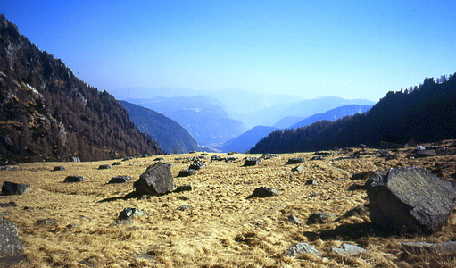 Massi erratici